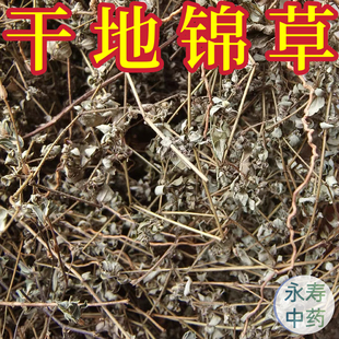晒干地锦草 中药材干货血见愁奶汁草铁线小红筋草奶浆草小飞杨草