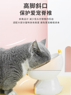 猫碗宠物陶瓷猫食盆成幼猫零食罐头碗饮水器狗盆创意用品