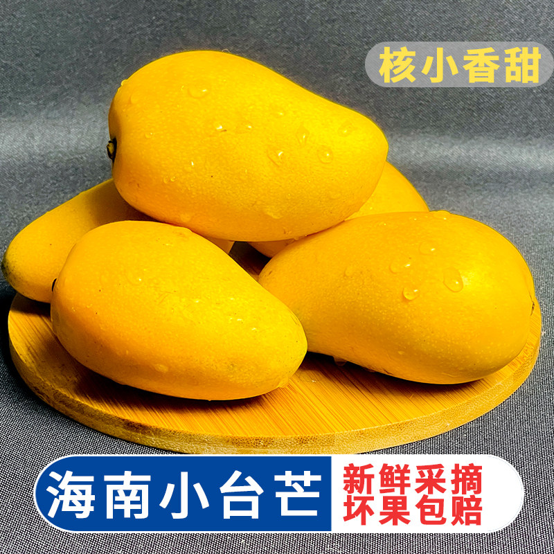 海南小台芒新鲜采摘台农芒果