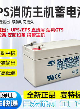 赛特海湾泰和安消防主机电池