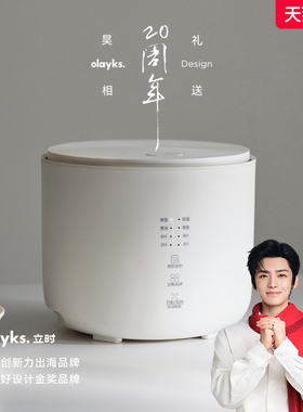 olayks电饭煲家用智能迷你2L电饭锅预约多功能全自动1-2-3人4小型