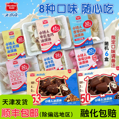 10口味美登高小矮人冰淇淋雪糕