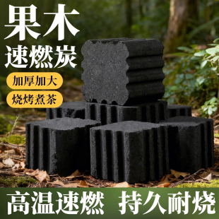 速燃炭烧烤碳木炭无烟碳果木炭家用室内烤火户外煤球围炉煮茶炉子