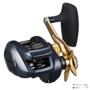 日本直邮Daiwa Jigging Reel Tierra LJ IC 300HL 左手柄 23年型