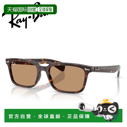 日本直邮Ray-Ban 雷朋 Brunel RB2234F 太阳镜 902/53 53 19