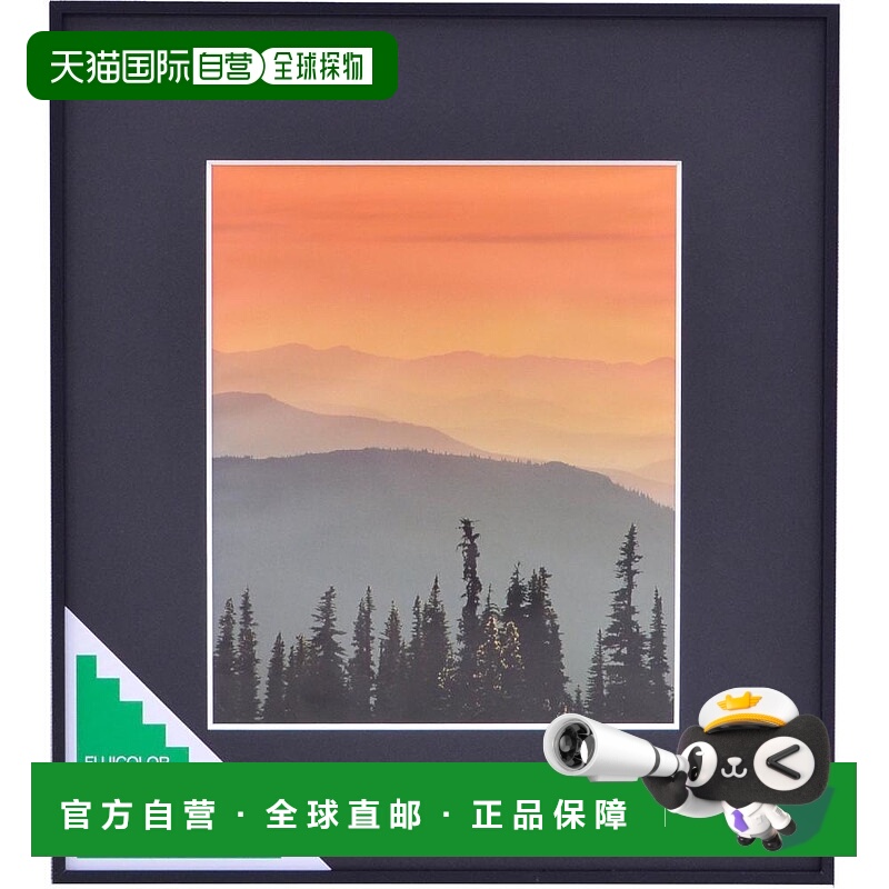 【日本直邮】Fujicolor富士胶片 金属相框A300黑色4切 301490