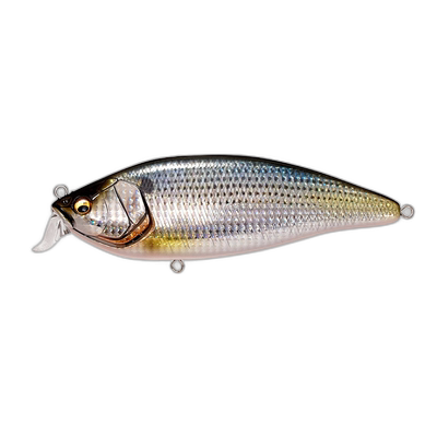 日本直邮巨型低音 KONOSIRUS SHAD F FA Konoshiro