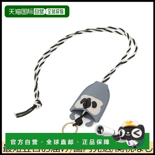 日本直邮LOEWE 罗意威女士包挂