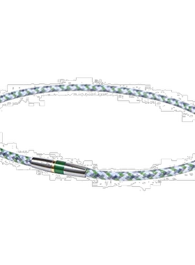 【日本直邮】Phiten法藤水溶钛项圈  RAKUWA X50高端III 绿色 50c