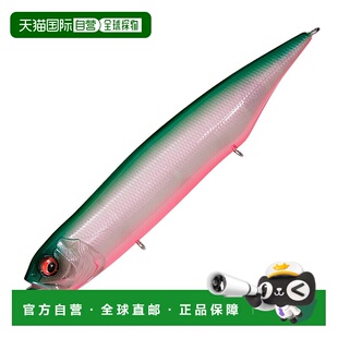 日本直邮Megabass DOG-X DIAMANTE SW 120mm PM Bayside Green PB