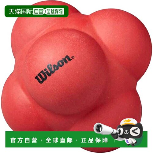 日本直邮Wilson REACTION BALL 网球训练球 大号 WR84185010