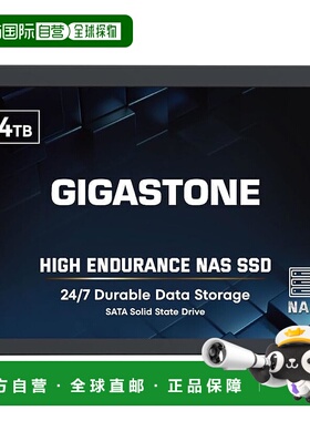 【日本直邮】GIGASTONE 内置SSD 4TB NAS专用 高耐久 SATAIII 560