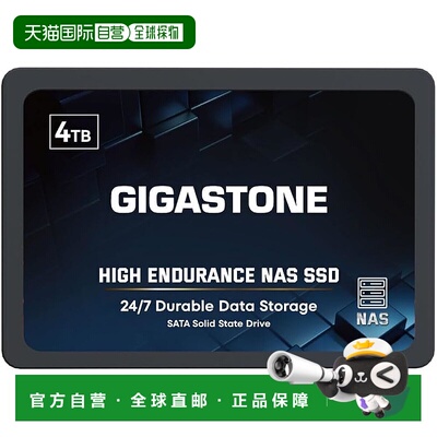 【日本直邮】GIGASTONE 内置SSD 4TB NAS专用 高耐久 SATAIII 560
