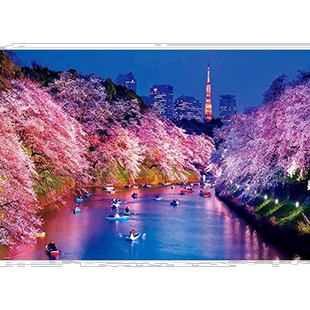 自营｜Beverly拼图1000片拼图千鸟渊的夜樱儿童益智拼装玩樱花