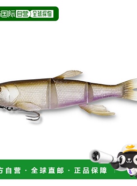 日本直邮Megabass MAGDRAFT HASU RAVER（下沉）熔炼 [4]