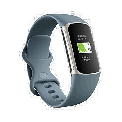 【日本直邮】Fitbit 智能手表 钢蓝色/白金色 长7天电池 带GPS