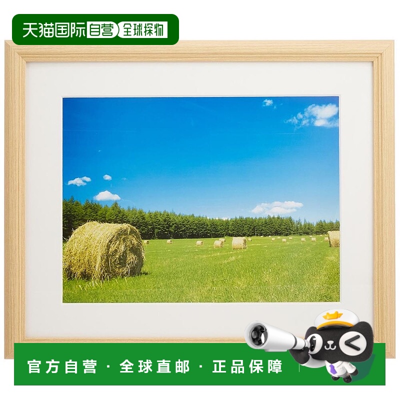 【日本直邮】Fujicolor富士胶片 木制相框YM-3亚克力A4 406140