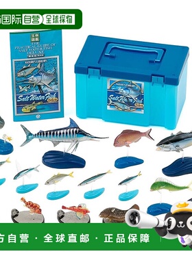 【日本直邮】COLORATA 海水鱼立体图鉴 15种含说明书 知育玩具