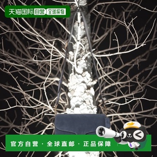 女装 蔻驰 链条塔比 皮革风格 单肩包 1h可退 时尚 日本直邮COACH