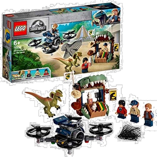 LEGO乐高小颗粒侏罗纪世界 Kyoryu玩具恐龙男孩 7593