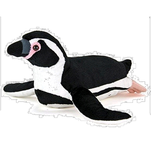 【日本直邮】COLORATA 毛绒玩偶 洪堡企鹅 父母 动物 泳姿 31x12x