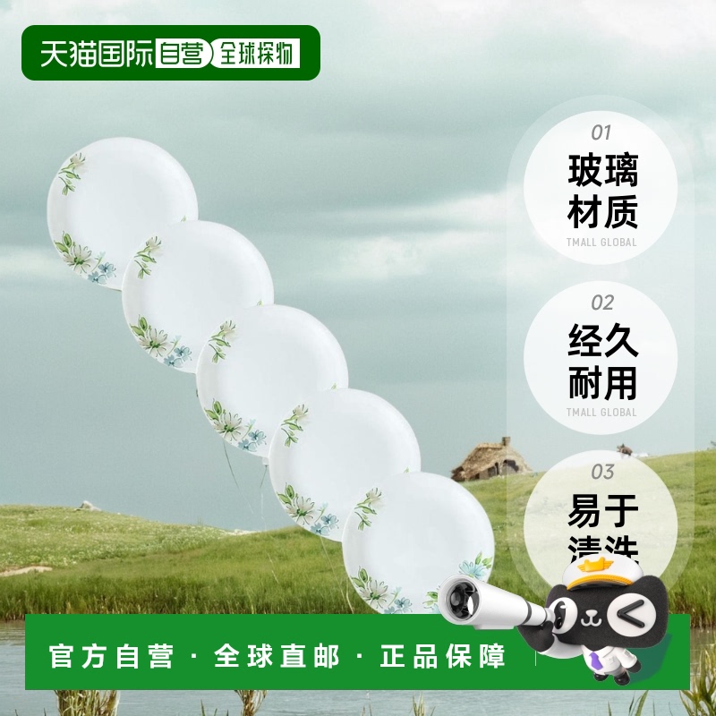 【日本直邮】corelle康宁餐具 Fiary Flora 中型碗 5枚装 CP-1624