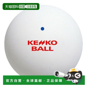 TSOWV WT网球一套12个 日本直邮Nagase Kenko网球