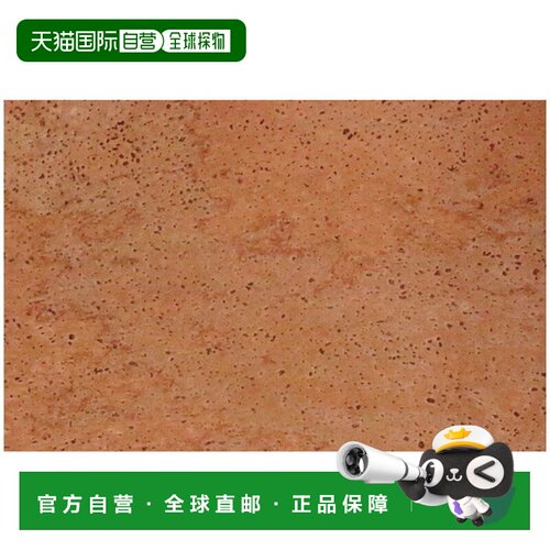 日本直邮VICTAS 维克塔斯 乒乓球拍护理用品 软木垫 CORK SEET 39