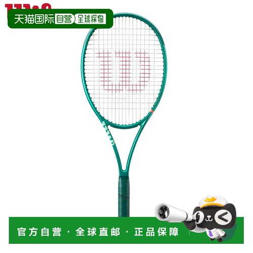 日本直邮Wilson 威尔胜 BLADE 98 16X19 V10 GR FRM 网球拍仅拍框