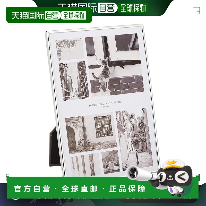 【日本直邮】Fujicolor富士胶片 相框 1702 金属 A4 银 506024