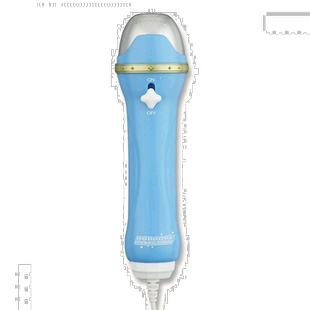 自营｜Bandai万代电子玩具卡拉OK兰金Rankin派对用二重唱麦