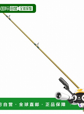 日本直邮Smith SS-WS55TM 级打击创新型水面中型一体式饵