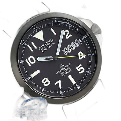 日本直邮Citizen Promaster Eco Drive 无线电钛男士手表 PMD56-2