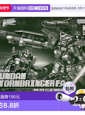 【日本直邮】Bandai万代MG 1/100  兴风者高达F.A/吉姆TURBULENCE