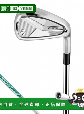 日本直邮TaylorMade P8CB高尔夫铁杆套装N.S.PRO 950GH neo 5支套