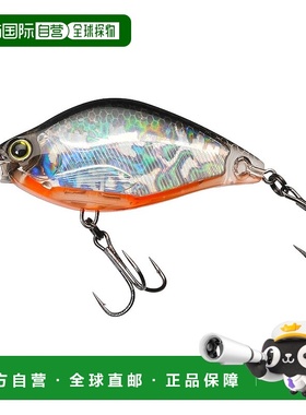 【日本直邮】YO-ZURI 摇摆饵 3DS 扁平 7.5 克 55 毫米 Holo Tenn