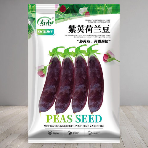 紫荚荷兰豆种子孑种籽豌豆种四季甜豌豆耐寒碗豆籽种菜籽阳台