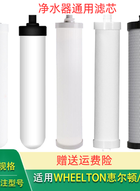 适用WHEELTON恵尔顿WHT-T1净水器WHTA6 柏登BDLTJ-DS1滤芯DS2 DS3