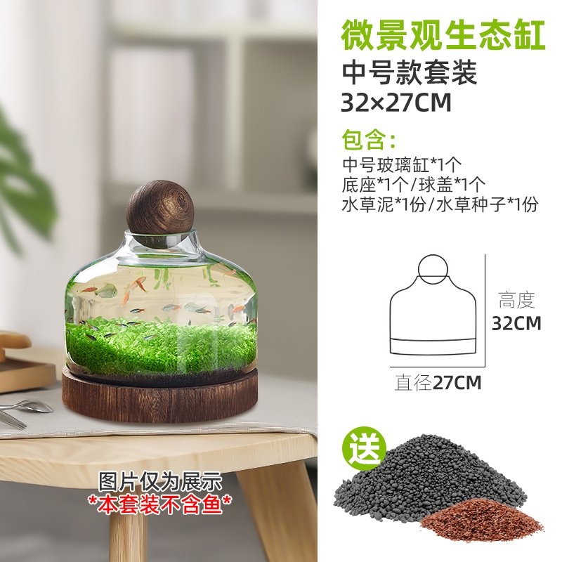生态瓶微景观f玻璃生态鱼缸diy材料小鱼生态瓶水草瓶水草种子景观
