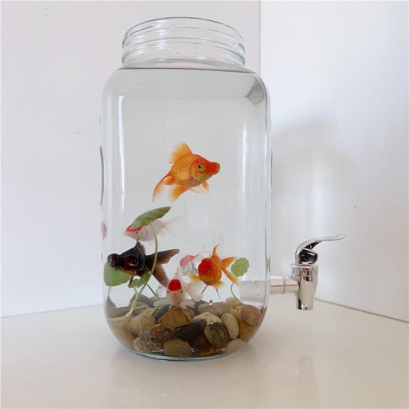 带水龙头造景鱼缸透明玻r璃网红创意客厅家用桌面小型方便换水懒,宠物/宠物食品及用品,桌面缸,淘宝优惠券,粉丝福利购,淘宝优惠卷