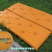 野餐户外防潮垫超轻自动充气垫子双人加宽帐篷睡垫三3 4人加厚5cm