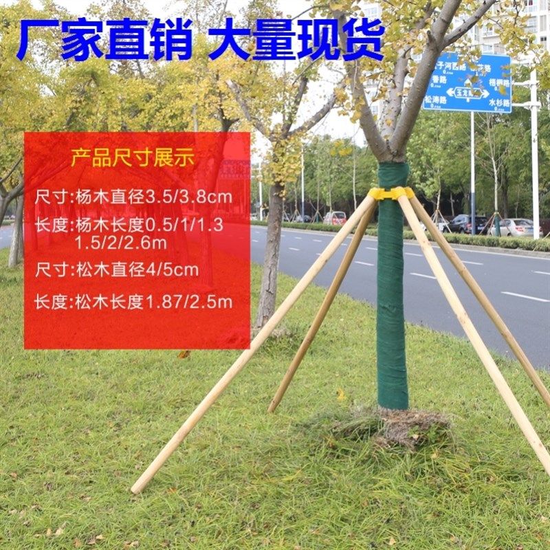 树木固定支撑架园林镀p锌钢管支护防风绿化大树树木固定器防倒扶,农用物资,苗木固定器/支撑器,淘宝优惠券,粉丝福利购,淘宝优惠卷