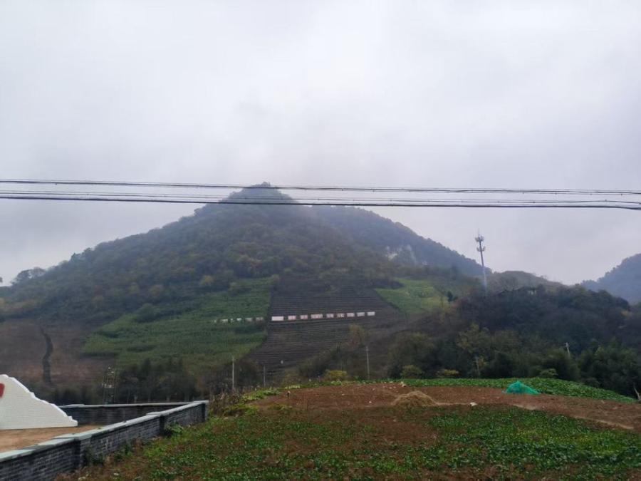 余杭区产权交易