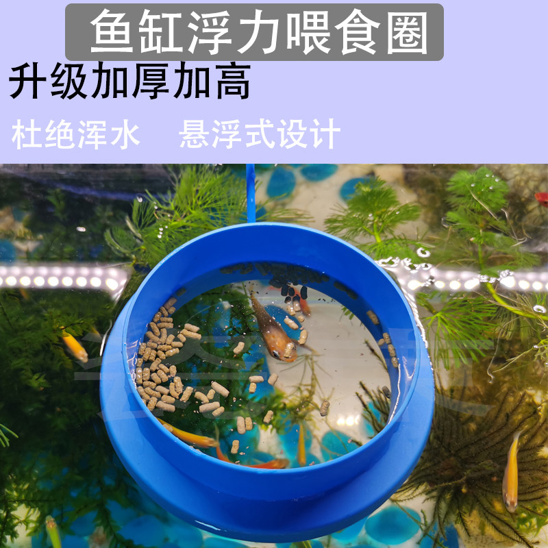 鱼缸喂食器水族箱鱼食投食器喂食圈小型鱼热带孔雀饲料浮力投喂器