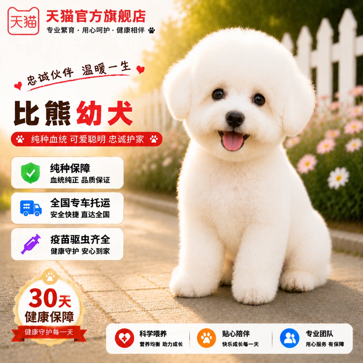 活体长不大便宜活物网红狗狗可爱