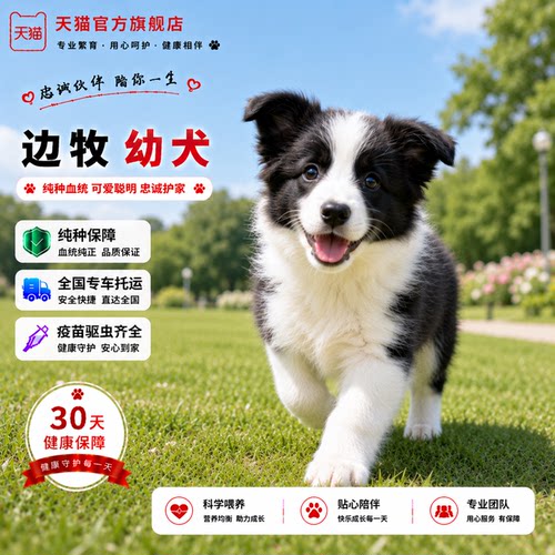 花家庭包活听话狗崽狗狗便宜
