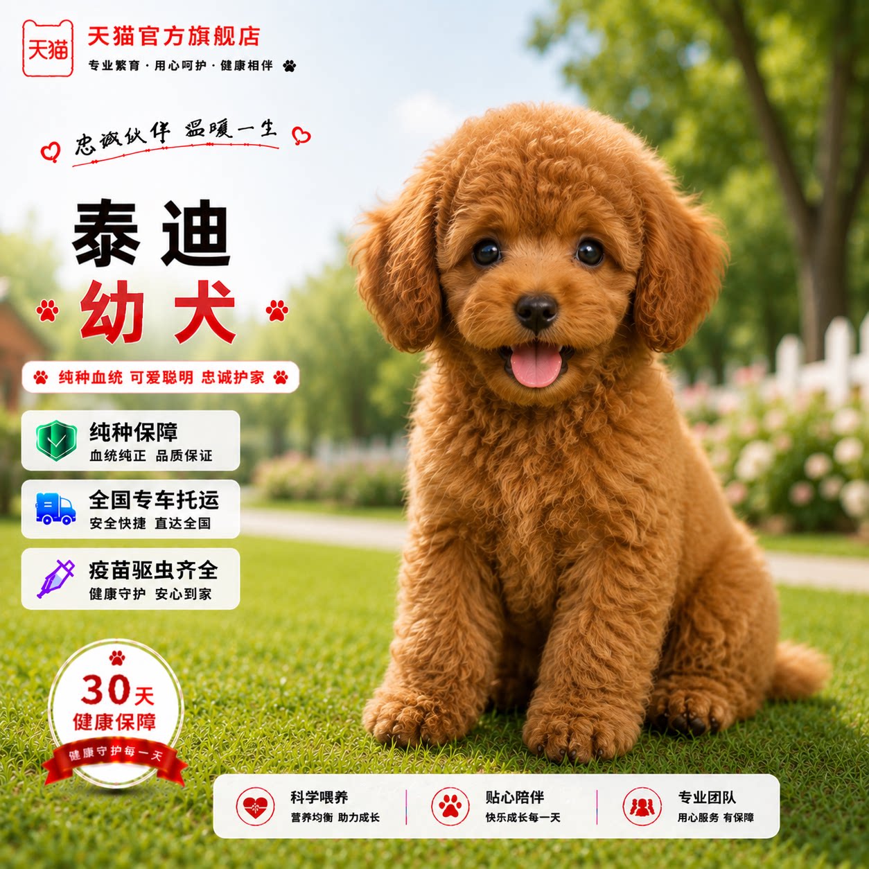 活物小体型超萌长不大红棕色便宜