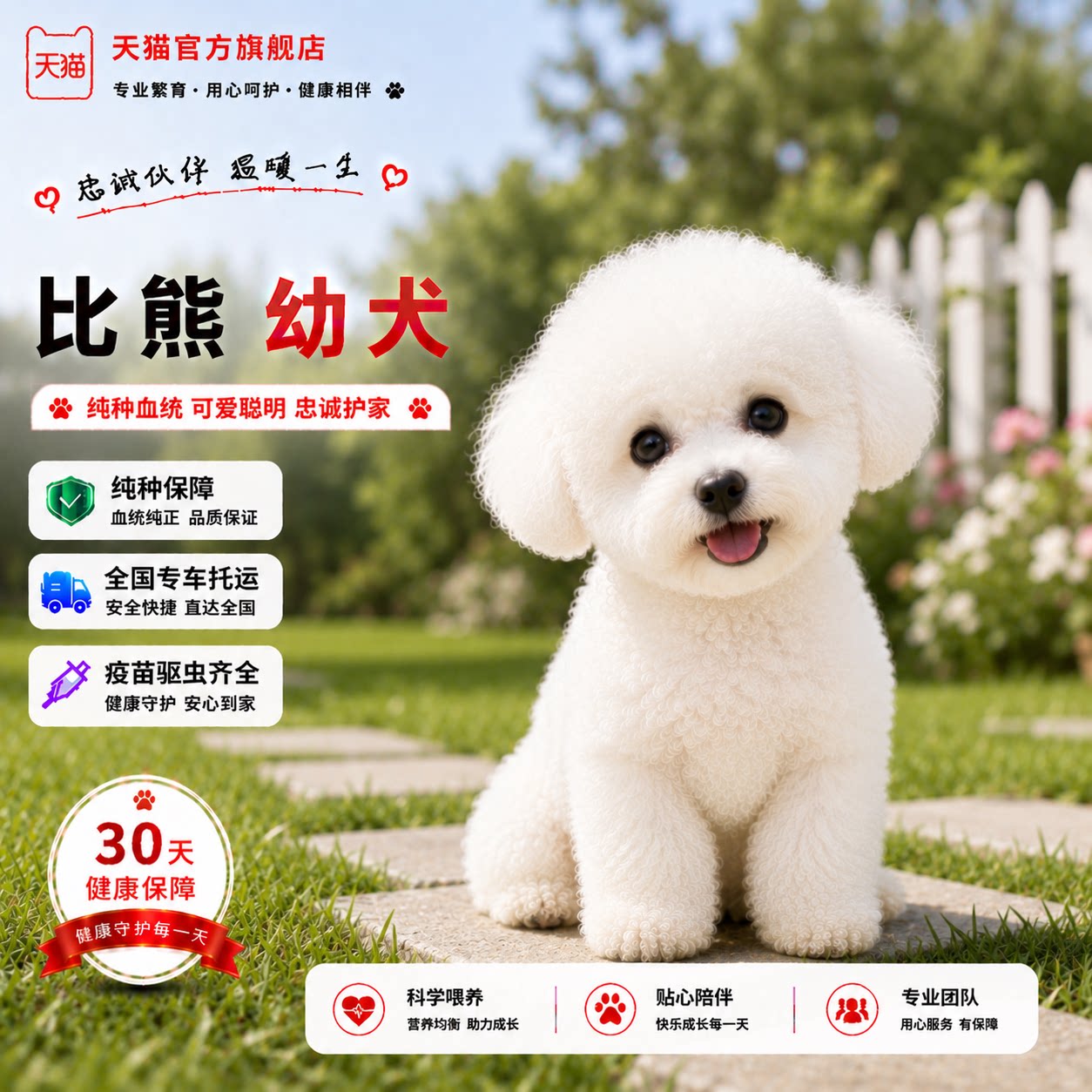 长不大小迷你小体真狗超小家养