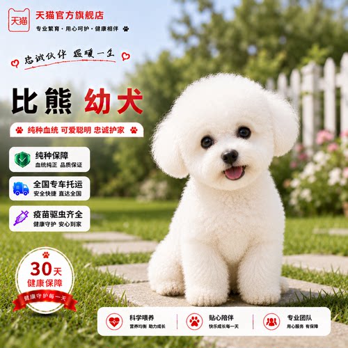 长不大小迷你小体真狗超小家养