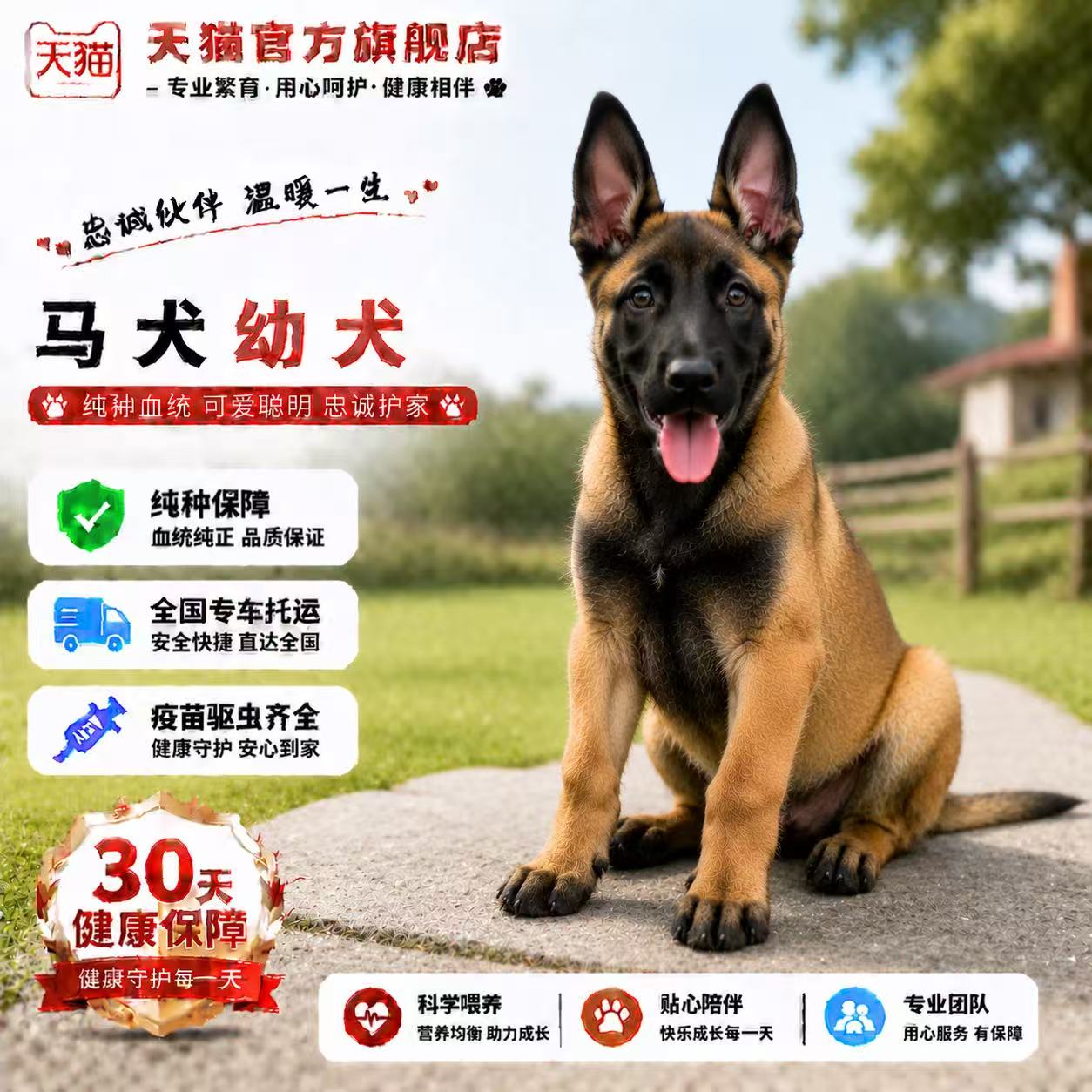 狗高智商猎犬狼狗黑红便宜幼崽